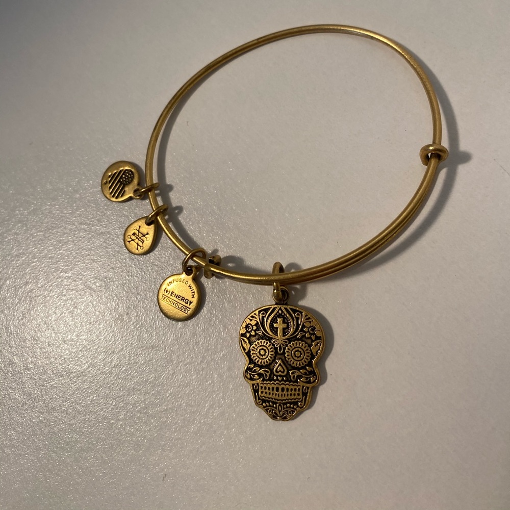 Alex and Ani skull bangle 💀